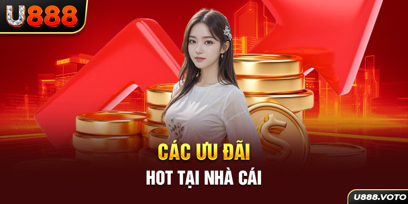 Các ưu đãi hot tại nhà cái