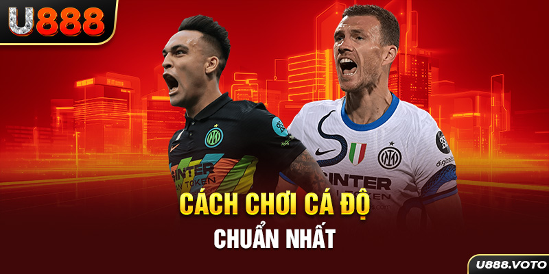 Cách chơi cá độ chuẩn nhất