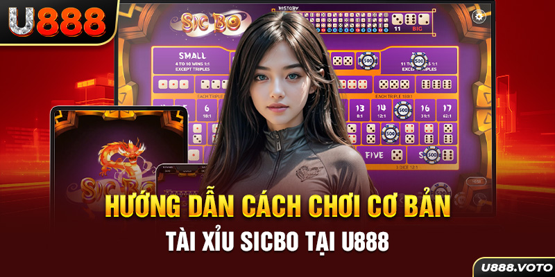 Hướng dẫn cách chơi cơ bản tài xỉu Sicbo tại U888