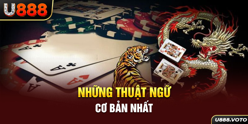 Những thuật ngữ cơ bản nhất