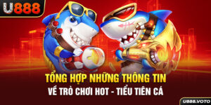 Tiểu Tiên Cá: Tổng Hợp Thông Tin Về Trò Chơi Hot Nhất 2024