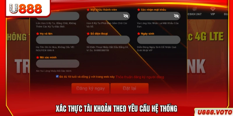 Làm theo hướng dẫn để xác minh tài khoản