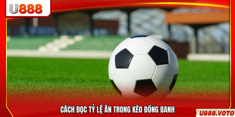 Hướng dẫn cách xem và hiểu tỷ lệ ăn kèo đồng banh