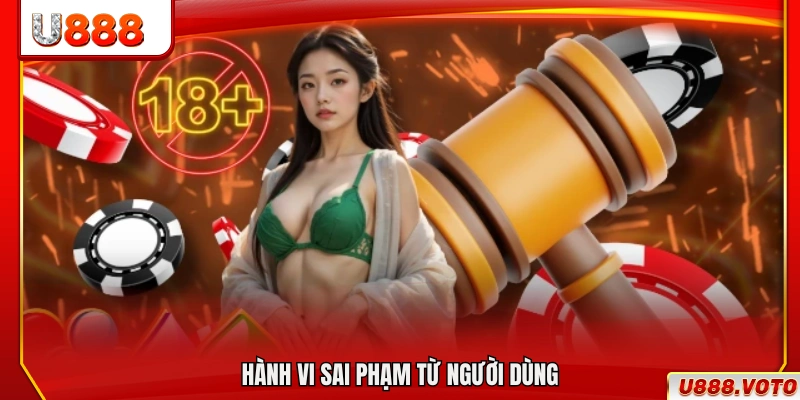 Các hành vi vi phạm xuất phát từ phía người dùng