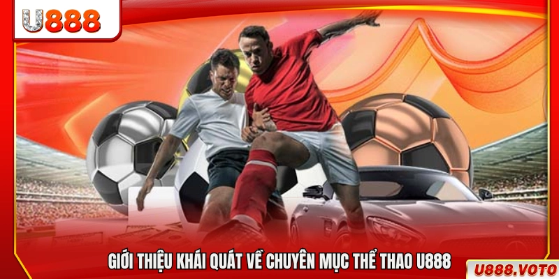 Khái quát hệ thống thể thao trực tuyến của U888